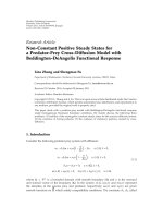 Báo cáo hóa học: 