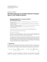 Báo cáo hóa học: 