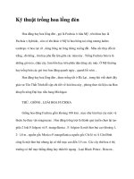 Kỹ thuật trồng hoa lồng đèn docx