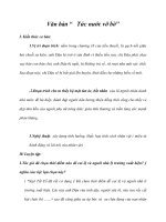 Văn bản “ Tức nước vỡ bờ” docx