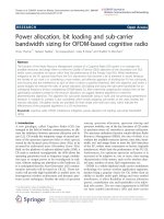 Báo cáo hóa học: 