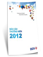 báo cáo thường niên 2012 ngân hàng tmcp đầu tư và phát triển việt nam bidv