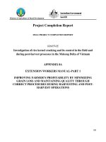 Project Completion Report: