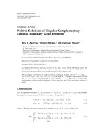 báo cáo hóa học: