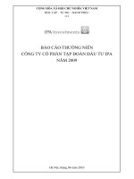 BÁO CÁO THƯỜNG NIÊN CÔNG TY CỔ PHẦN TẬP ĐOÀN ĐẦU TƯ IPA NĂM 2009