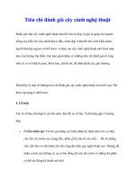 Tiêu chí đánh giá cây cảnh nghệ thuật pot