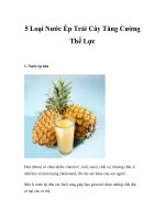 5 Loại Nước Ép Trái Cây Tăng Cường Thể Lực doc