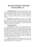 Bọ rùa hai mảng đỏ- thiên địch trên cây nhãn, vải pot