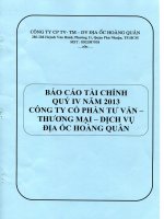 Báo cáo tài chính quý IV năm 2013 Công ty cổ phần tư vấn - dịch vụ - địa ốc hoàng quân