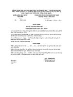 Mẫu 22: Quyết định công nhận danh hiệu pdf