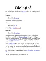 Các loại số docx