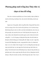 Phương pháp nuôi trồng hoa Thủy tiên và chọn củ hoa để trồng pptx