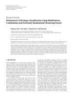 Báo cáo hóa học: 