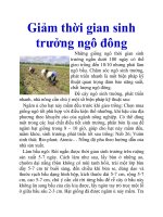 Giảm thời gian sinh trưởng ngô đông pot