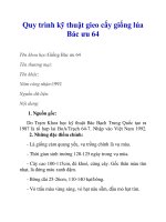 Quy trình kỹ thuật gieo cấy giống lúa Bác ưu 64 docx