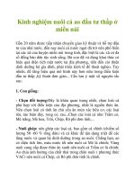 Kinh nghiệm nuôi cá ao đầu tư thấp ở miền núi doc