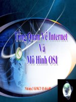 Tổng quan về Internet và Mô hình OSI potx