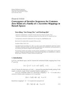 Báo cáo hóa học: 