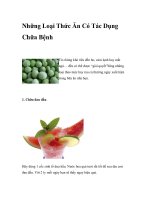 Những Loại Thức Ăn Có Tác Dụng Chữa Bệnh doc