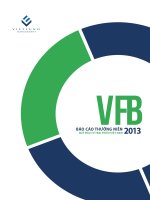 báo cáo thường niên quỹ đầu tư trái phiếu việt nam 2013 vfb