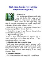 Bệnh tiêm đọn sần (tuyến trùng Ditylenchus angustus) docx