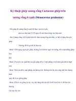 Kỷ thuật ghép xương rồng Cactaceae ghép trên xương rồng 6 cạnh pdf