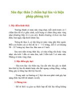 Sâu đục thân 2 chấm hại lúa và biện pháp phòng trừ doc