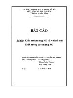 cấu trúc mạng 3g và vai trò của ims trong các mạng 3g