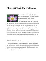 Những Bài Thuốc Quý Từ Hoa Sen pptx