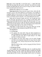 101 cây thuốc với sức khỏe sinh sản phụ nữ part 7 pptx