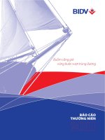 báo cáo thường niên 2011 phần 1 ngân hàng tmcp đầu tư và phát triển việt nam bidv