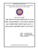 Thu nhận enzyme protease từ nấm mốc Aspergillus awamori và ứng dụng trong quá trình thủy phân nội tạng cá basa dùng chế biến thức ăn gia súc