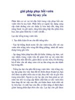 giải pháp phục hồi vườn tiêu bị suy yếu pptx