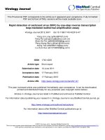 Báo cáo hóa học: 