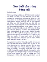 Xua đuổi côn trùng bằng mùi potx