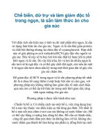 Chế biến, dữ trự và làm giảm độc tố trong ngọn, lá sắn làm thức ăn cho gia súc pdf