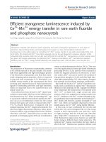 Báo cáo hóa học: 