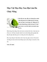 Mẹo Vặt Mẹo Hay Xoa Dịu Làn Da Cháy Nắng pptx