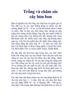 Trồng và chăm sóc cây bòn bon pdf