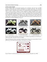 Micromachining Techniques for Fabrication of Micro and Nano Structures Part 13 potx