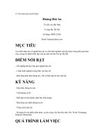 KenhSinhVien.Net---17_cv_theo_dinh_dang_truyen_thong__758 pdf