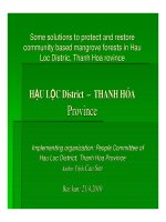 Some solutions to protect and restore community based mangrove forests in Hau Loc Distric, Thanh Hoa rovince ppt