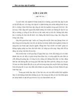 hệ thống truyền hình cáp hfc