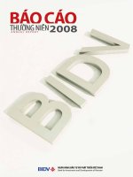 báo cáo thường niên 2008 phần 1 ngân hàng tmcp đầu tư và phát triển việt nam bidv
