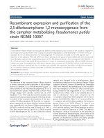 báo cáo hóa học: 