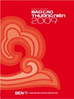báo cáo thường niên 2009 ngân hàng đầu tư và phát triển việt nam bidv
