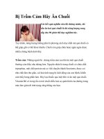 Bị Trầm Cảm Hãy Ăn Chuối pot