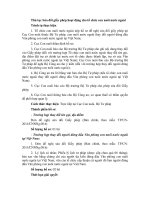 Thủ tục Sửa đổi giấy phép hoạt động cho tổ chức con nuôi nước ngoài ppt