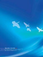 báo cáo thường niên 2011 tổng công ty bảo hiểm bidv