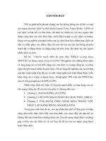 chuyển mạch nhãn đa giao thức (mlpls) và ứng dụng trong mạng vpv.